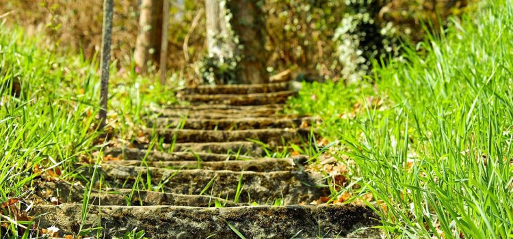 Escalier dans la nature