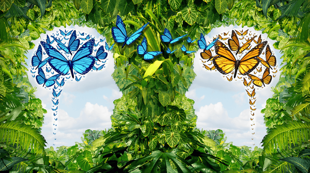 visage papillons