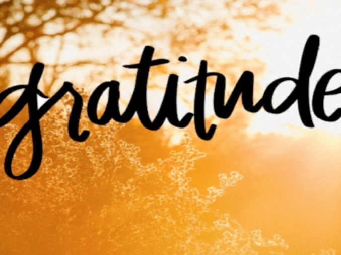 Gratitude